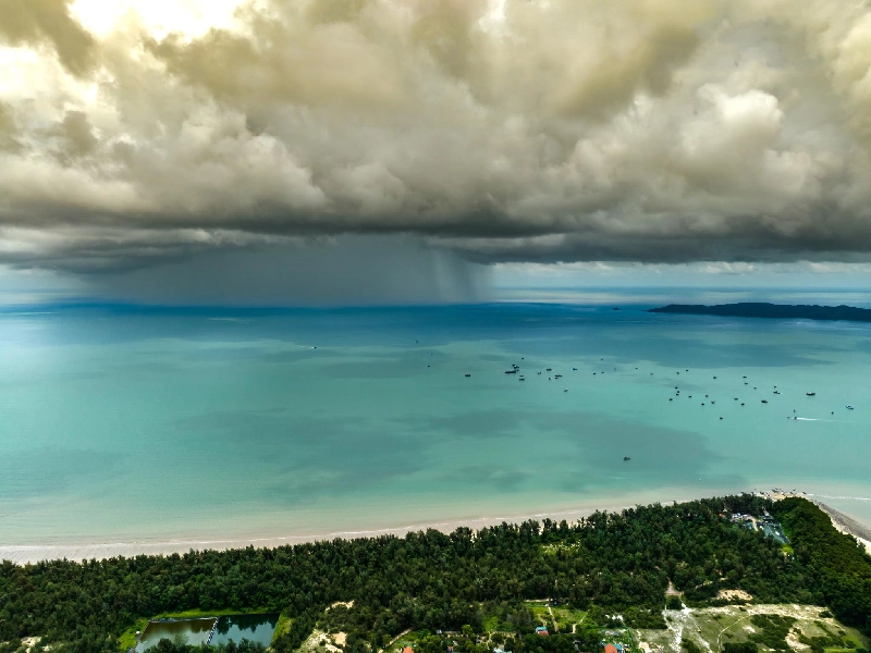 Tour Nam Định Đi Trà Cổ