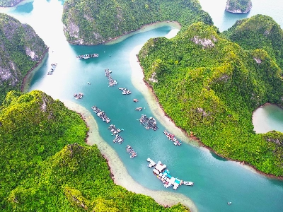 Tour Nam Định Đi Hạ Long