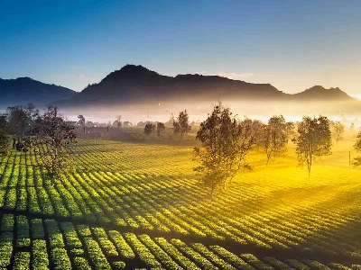 Tour Bắc Ninh Đi Tây Nguyên