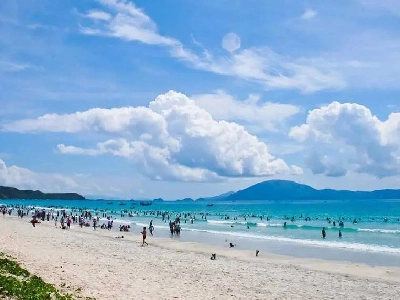 Tour Bắc Ninh Đi Trà Cổ