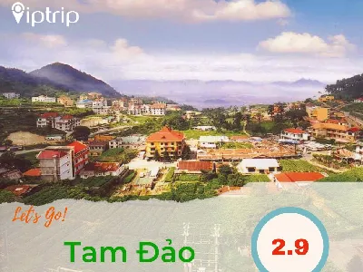Tour du lịch Tam Đảo - Tây Thiên 2.9.2024