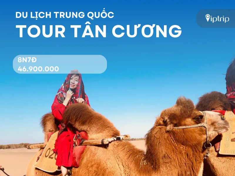 Tour Tân Cương 8 ngày 7 đêm từ Hà Nội